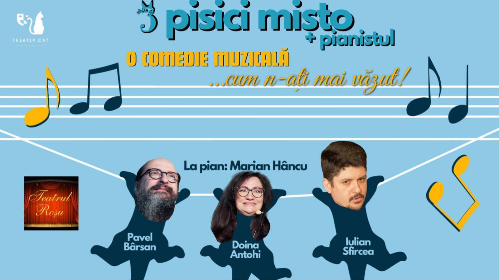 Trei pisici misto si un pianist